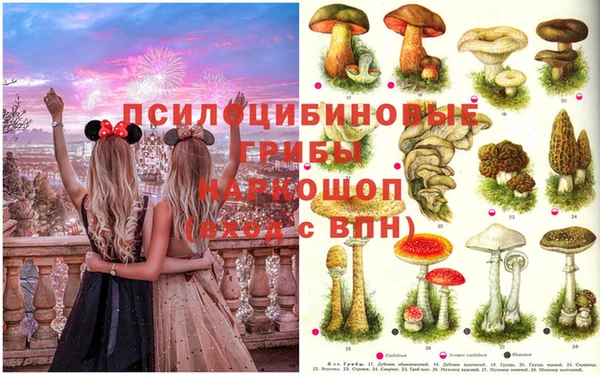 ALPHA-PVP Абинск