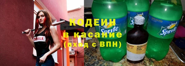 хмурый Арсеньев