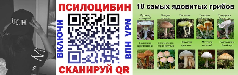 Галлюциногенные грибы прущие грибы Троицк