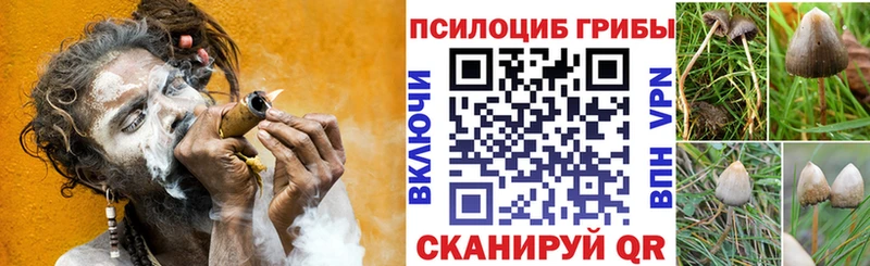 Галлюциногенные грибы Magic Shrooms  Троицк 